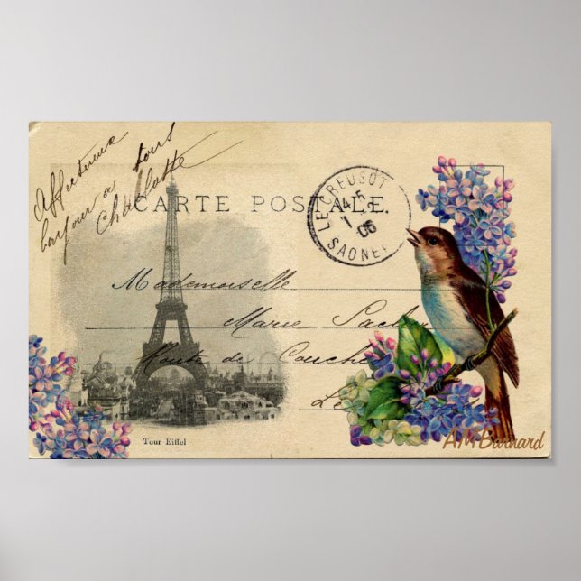 Paris Postcard Bird on Lilacs Poster or Print (Front)