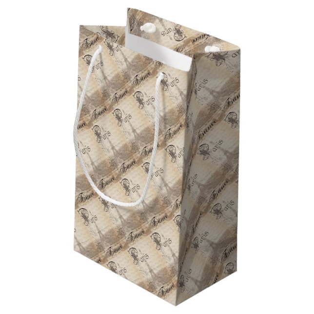 Paris Scenery Gift Bag (Back Angled)