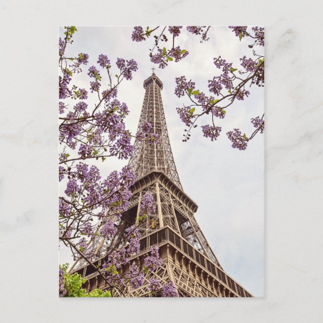 Paris Tour Eiffel - Carte postale Photo Springtime (Devant)