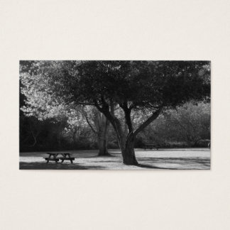 Park Bench and Tree Photo