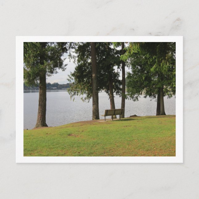 Park Bench at Lake Meridian Postcard (Front)