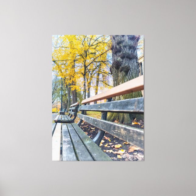 Park Bench in Autumn Scenery Canvas Print (Front)