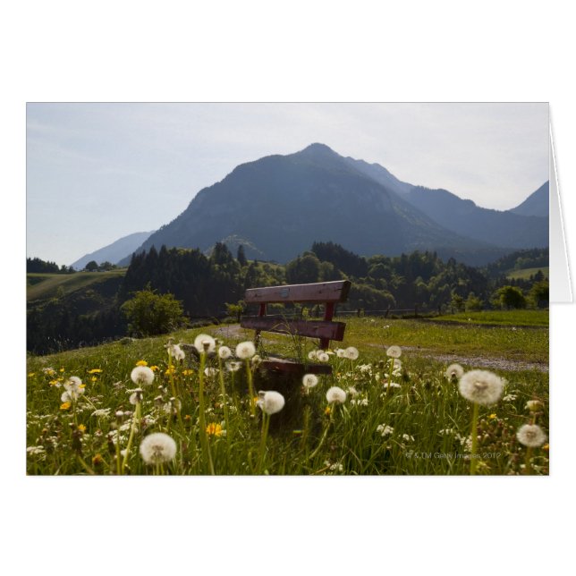 Park bench in rural field (Front Horizontal)