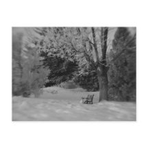 Park Bench in Winter