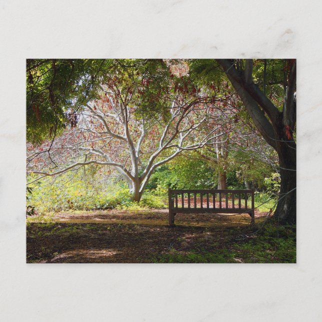 Park Bench Postcard (Front)