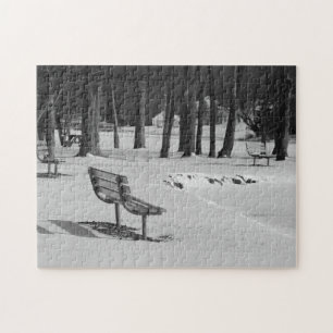 Park Benches Among a Mid Winters Scene Family Fun Jigsaw Puzzle