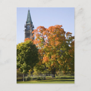 Park beside the Parliment Building in Ottawa, Postcard