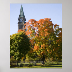 Park beside the Parliment Building in Ottawa, Poster