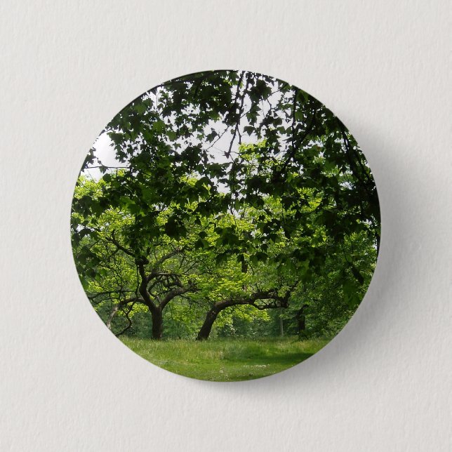 Park Button (Front)