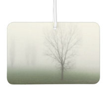 Park covered with thick fog