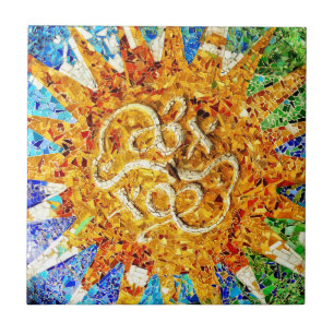 Park Guell mosaics tile