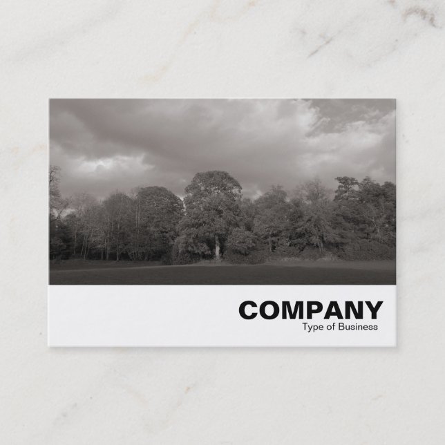 Park Landscape Business Card (Front)