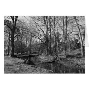 Park Landscape - Bute Park, Cardiff