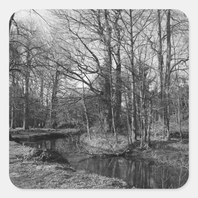 Park Landscape - Bute Park, Cardiff Square Sticker (Front)