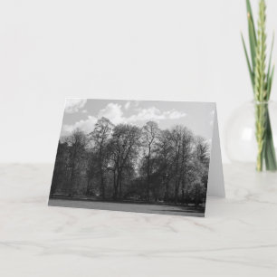 Park Landscape, Bute Park, Cardiff, Wales, UK Card