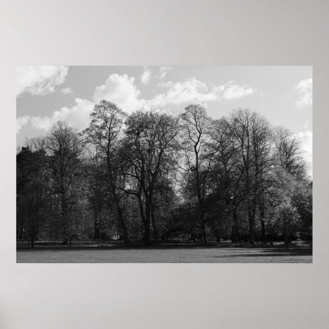 Park Landscape Poster (Front)