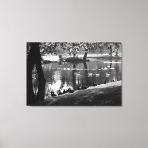 Park Life 36x24 (90x60cm) waccn Canvas Print