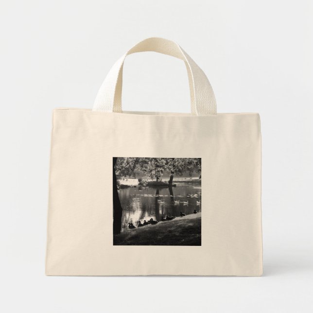 Park Life ttcna Mini Tote Bag (Front)