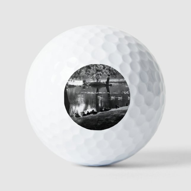 Park Life va gbcna Golf Balls (Front)