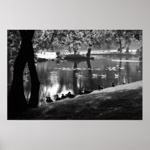 Park Life wapcn Poster