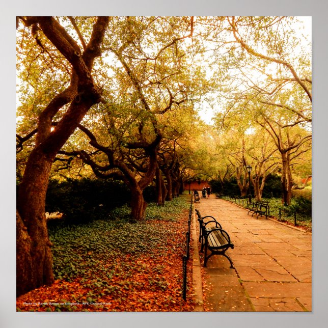 Park, NYC Central Park, Poster (Front)