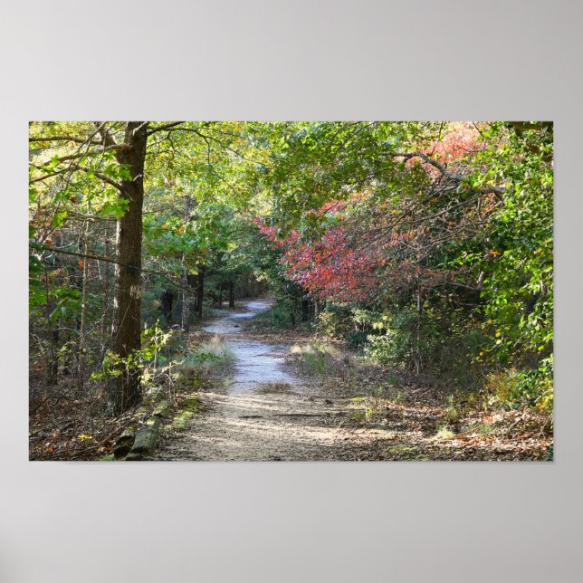 Park Path Photo Poster (Front)