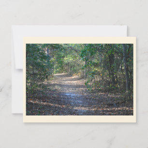 Park Path Postcard