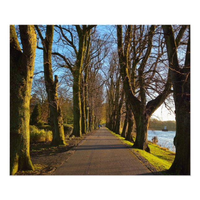 Park  photo print (Front)