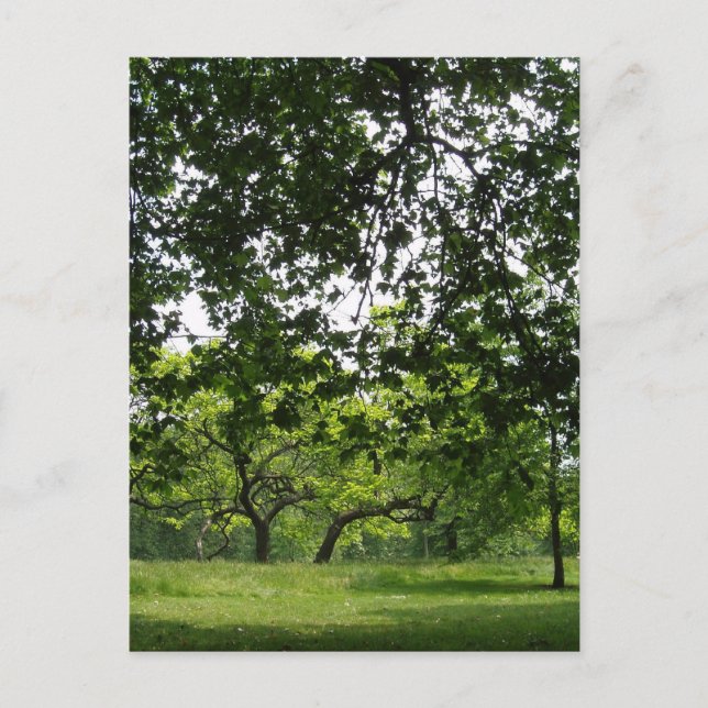 Park Postcard (Front)