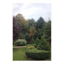 Park