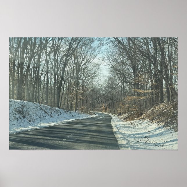 Park Roadway in Winter Poster (Front)