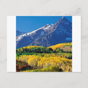 Park Sneffels Uncompahgre Forest Colorado Postcard