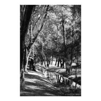 Park Stream B&W Photograph Print
