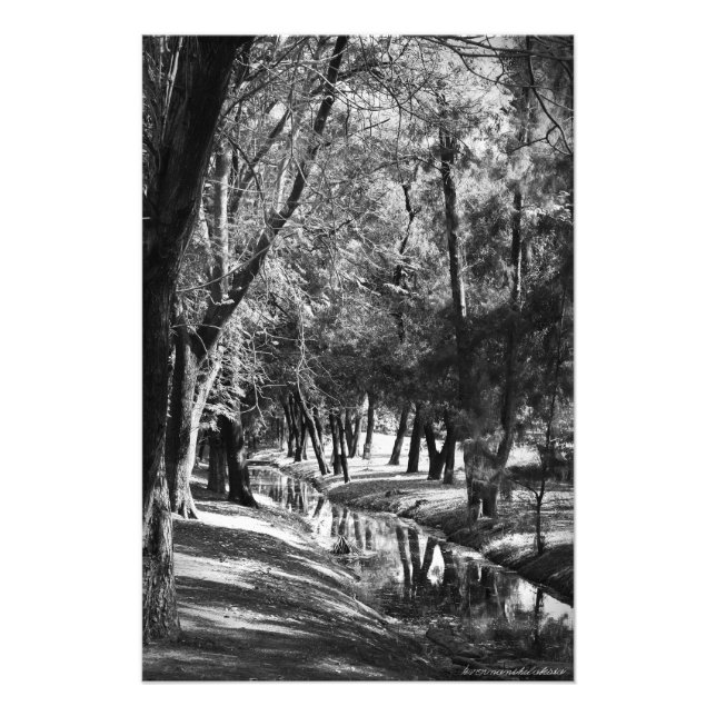 Park Stream B&W Photographie Imprimer (Devant)