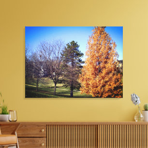 Park Stretched Canvas Print
