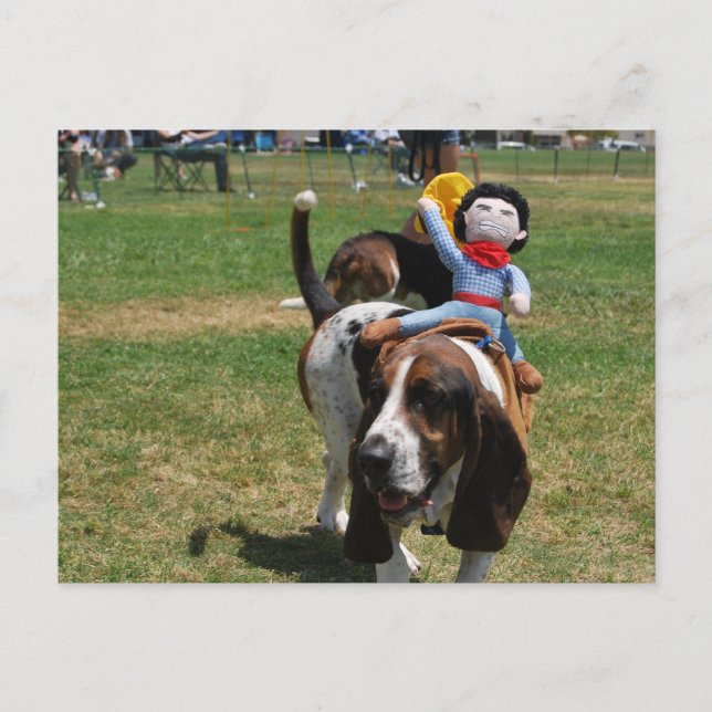 Park the Basset Hound Postcard (Front)