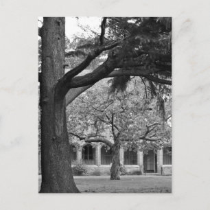 Park view postcard