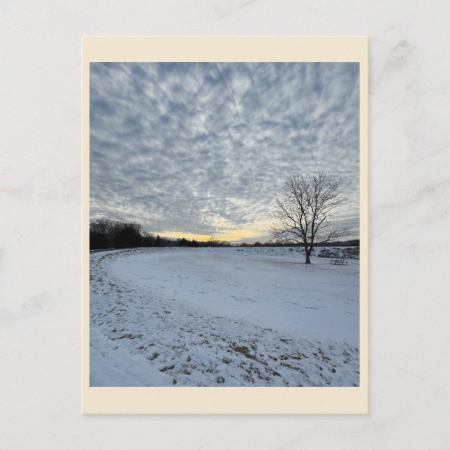 Park Winter Sunset Postcard (Front)