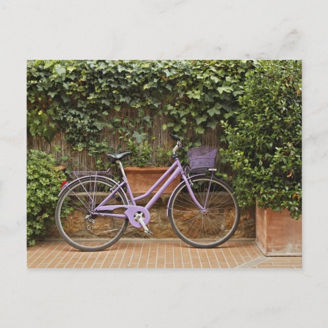 Parked bicycle, Pienza, Italy, Tuscany Postcard (Front)