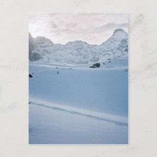 Parker Ridge Banff Park Icefields Alberta Canada Postcard