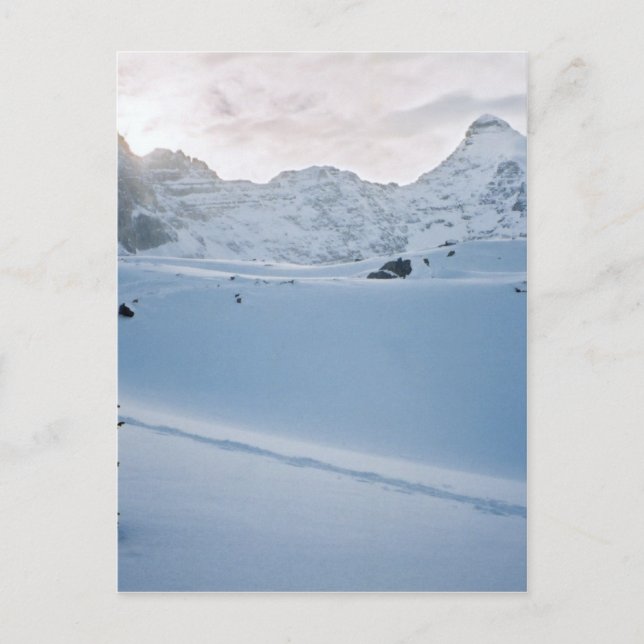 Parker Ridge Banff Park Icefields Alberta Canada Postcard (Front)