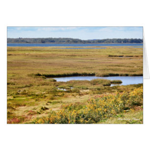 Parker River Wildlife Refuge: Plum Island