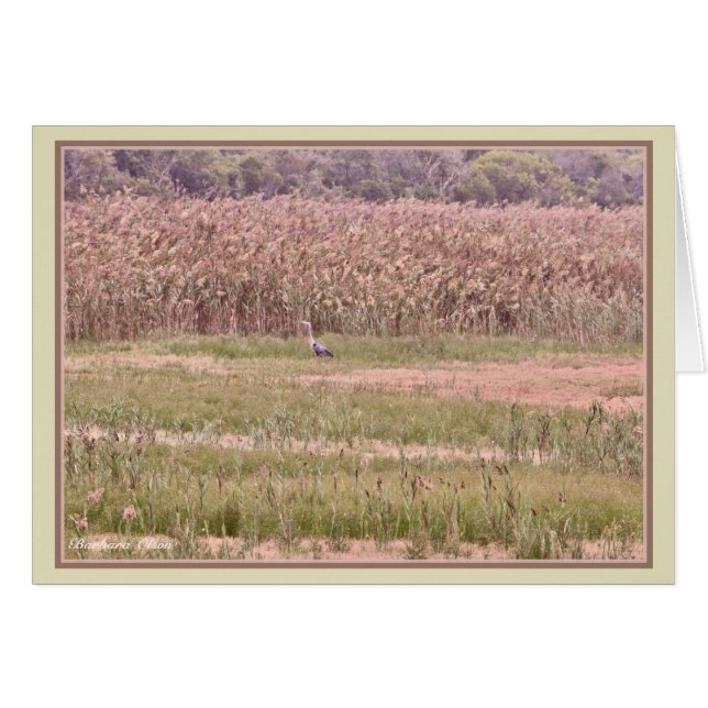 Parker River Wildlife Refuge: Plum Island (Front Horizontal)