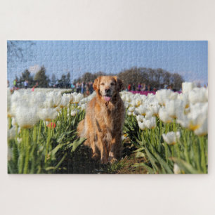 ParkerPup in Tulips Puzzle