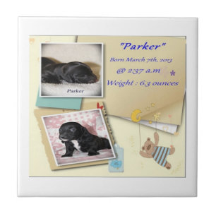 Parkers Birth Certificate Tile
