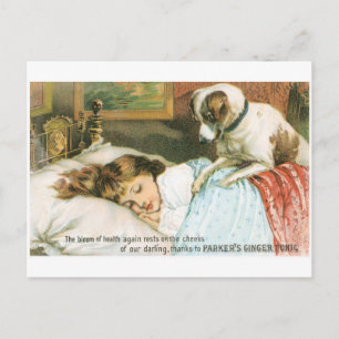 Parkers Ginger Tonic Sleeping Girl with Dog Postcard