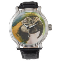Parler comme une montre pirate