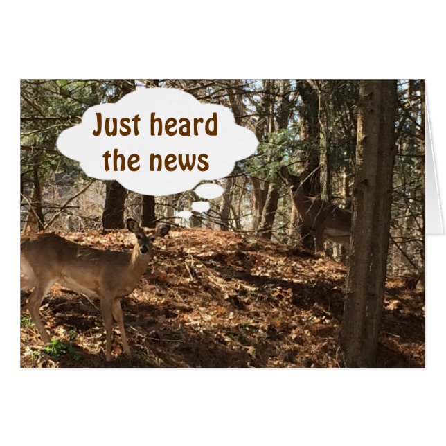 PARLER DE DEER COUPLE DIT : "VOUS ÊTES ***21*** (Devant horizontal)