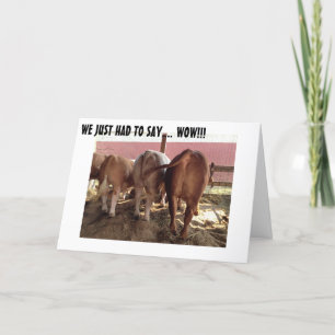 PARLER DE VACHES FAIT GRANDE CARTE D'ANNIVERSAIRE