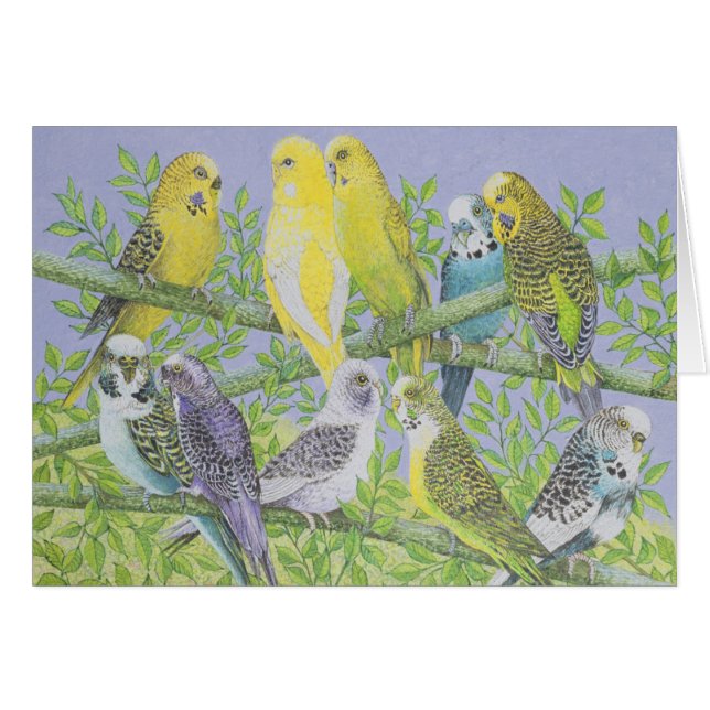 Parler doux (Devant horizontal)